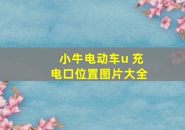 小牛电动车u 充电口位置图片大全